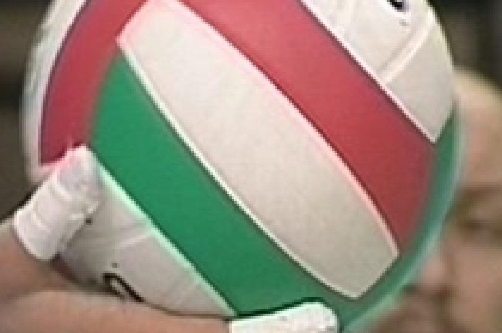pallone-volley27