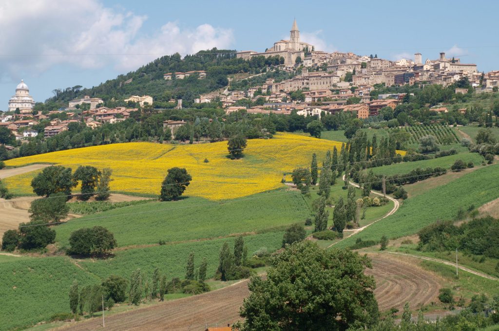 panorama-todi