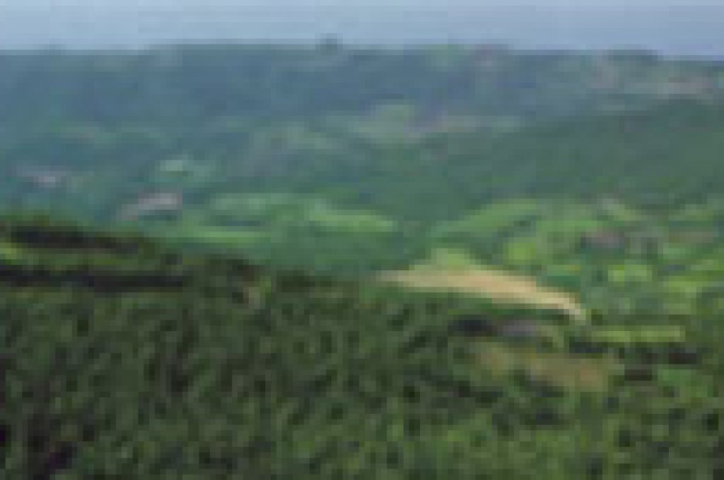 panorama_thumb