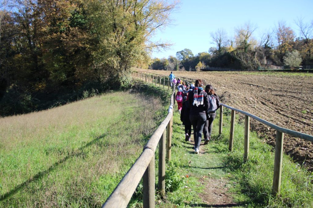 parco vulcanologico san venanzo