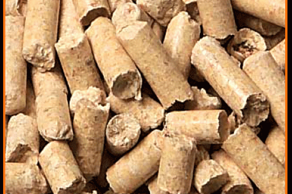 pellet