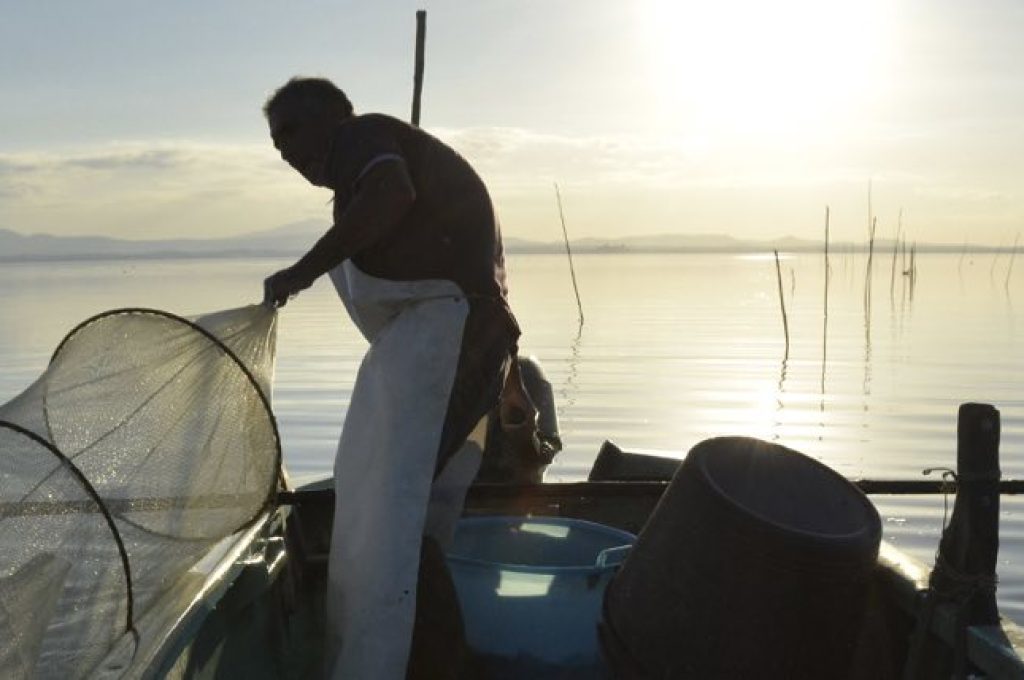 pesca trasimeno