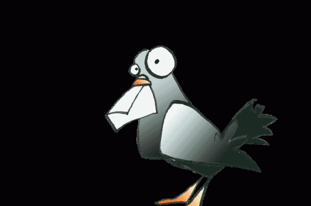 piccione-viaggiatore