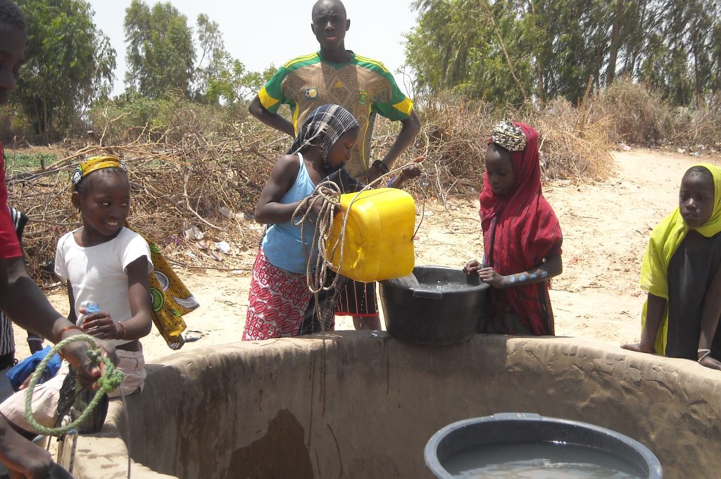 pozzo-senegal-di-radici-damore