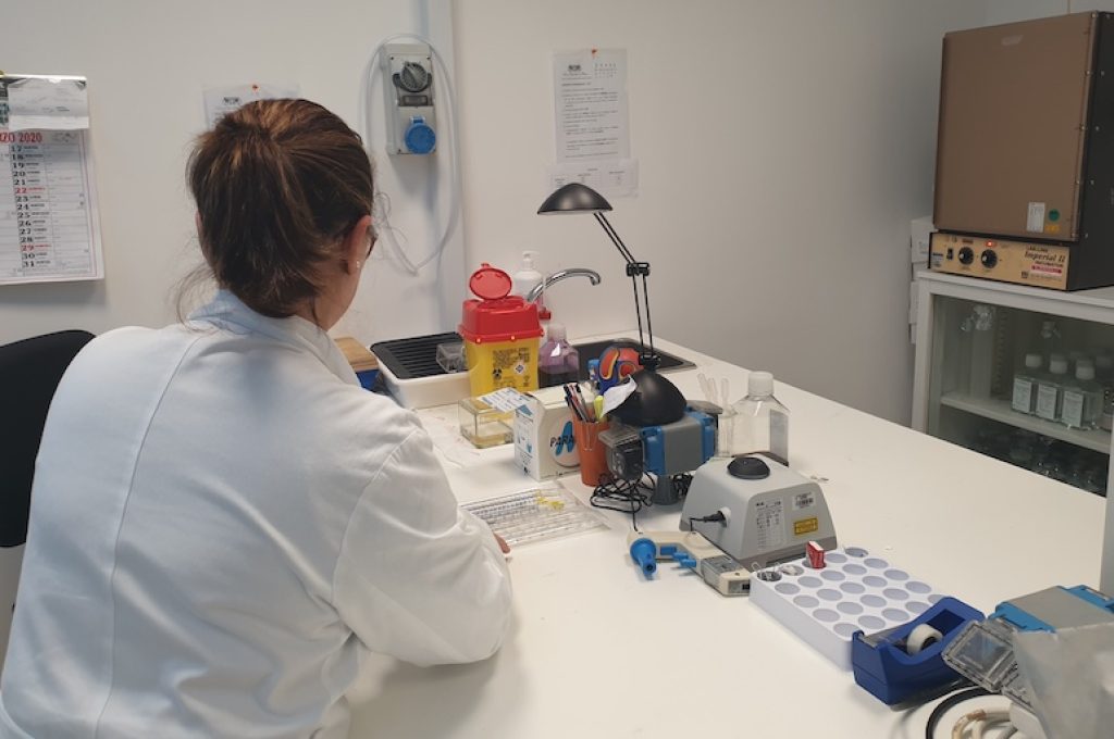 premio ospedale perugia