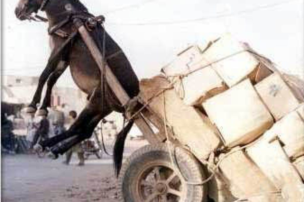 pressione-fiscale1