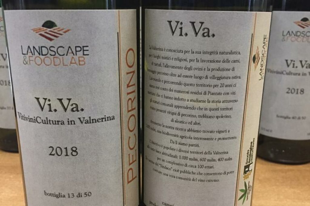 progetto viva viticoltura valnerina