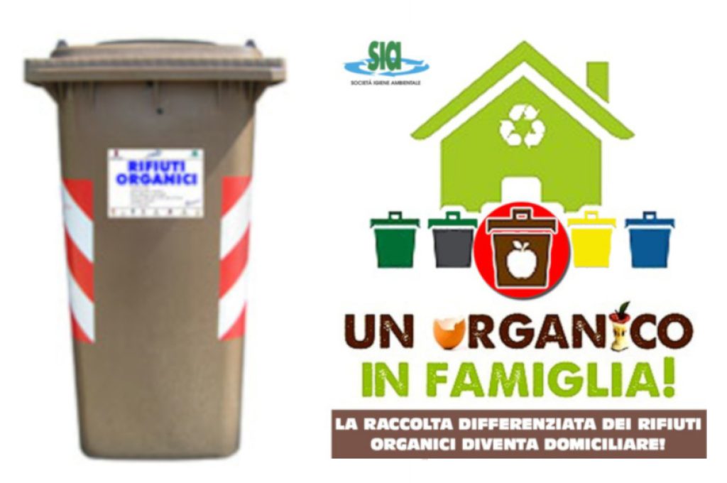 raccolta organico