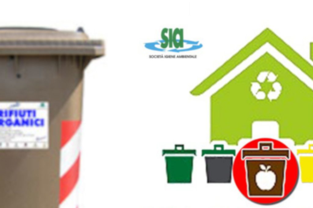 raccolta-organico