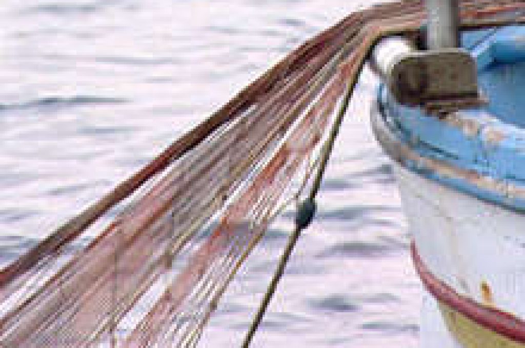 rete_pesca-2