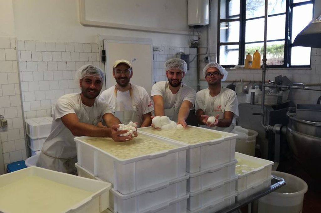 riccardo marconi caseifico montecristo todi