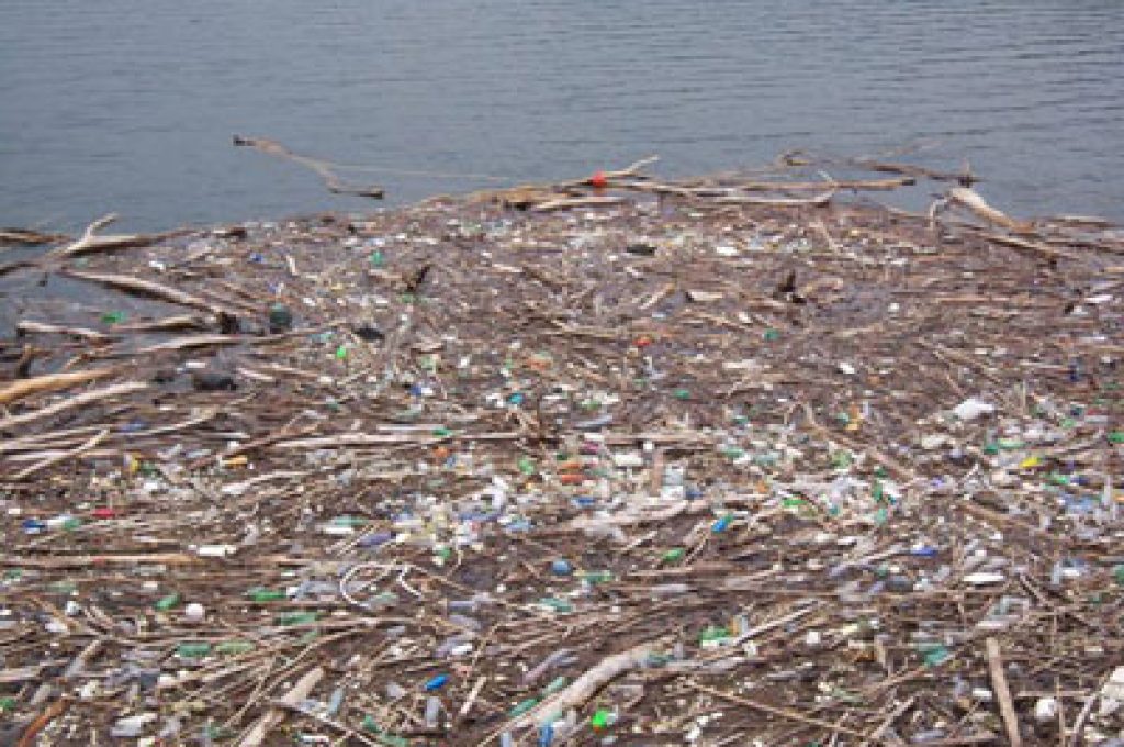 rifiuti-sul-lago-di-corbara