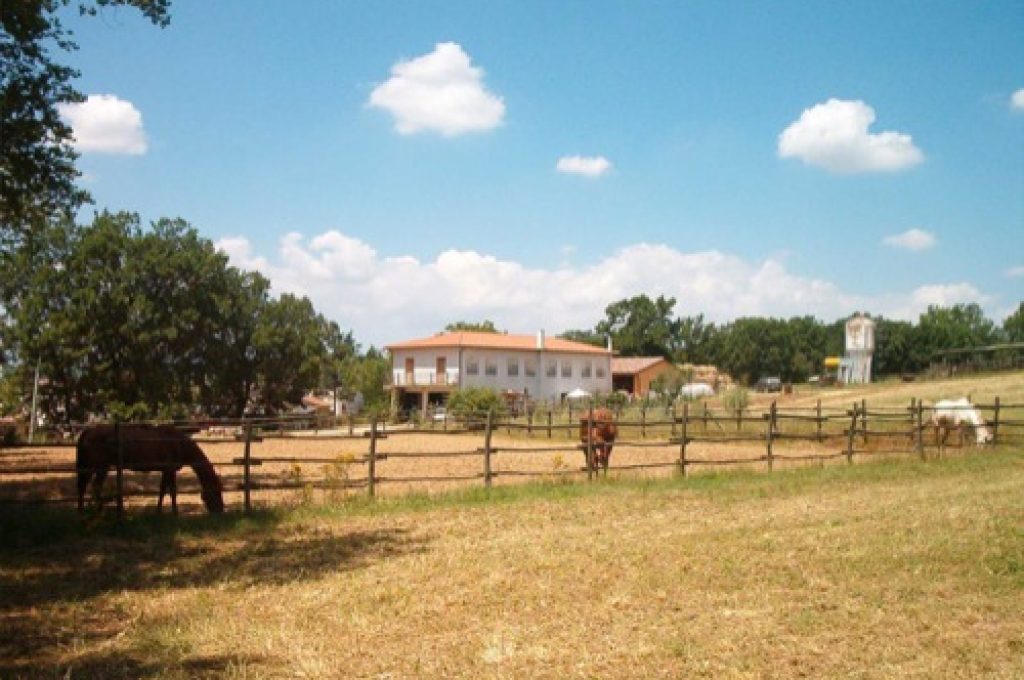 ristorante-fontana-delle-pere_500_142101_4