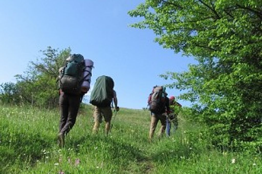 san-venanzo-boschi-dellelmo