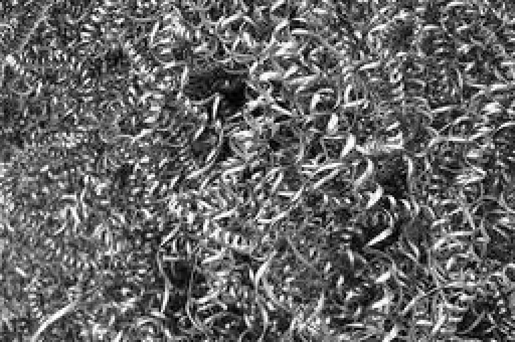 scorie-acciaio1