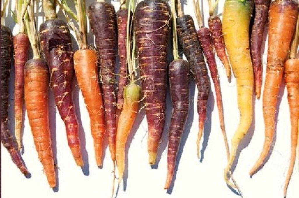 slow food