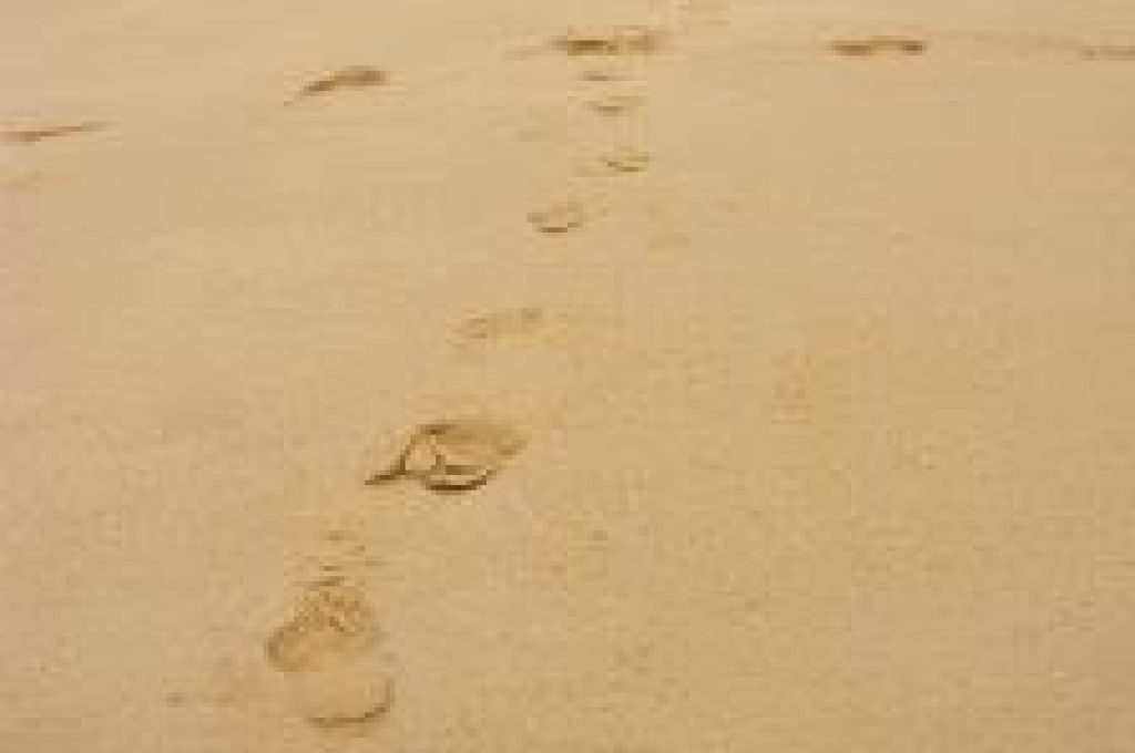 spiaggia1
