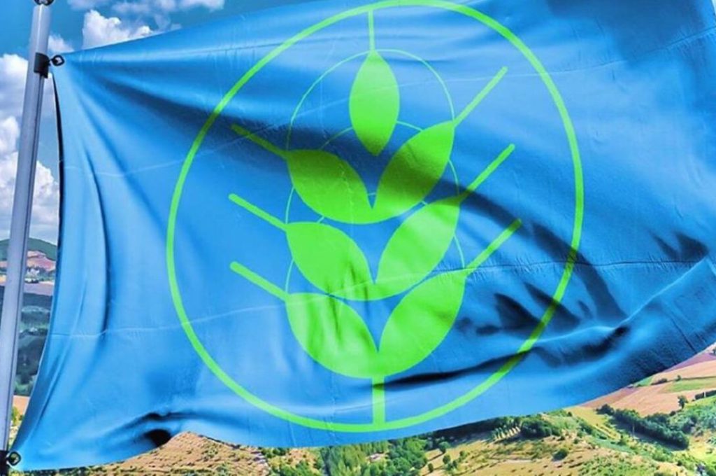 spighe-verdi-1280x720