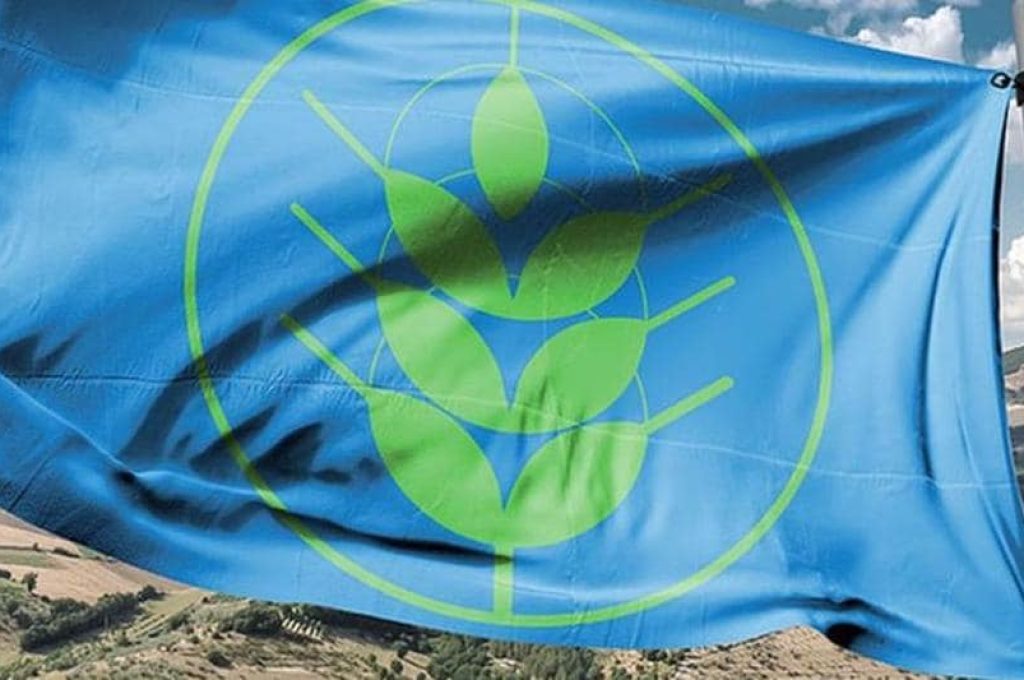 spighe-verdi-bandiera-con-paesaggio-dietro-kj8C--1020x533@IlSole24Ore-Web