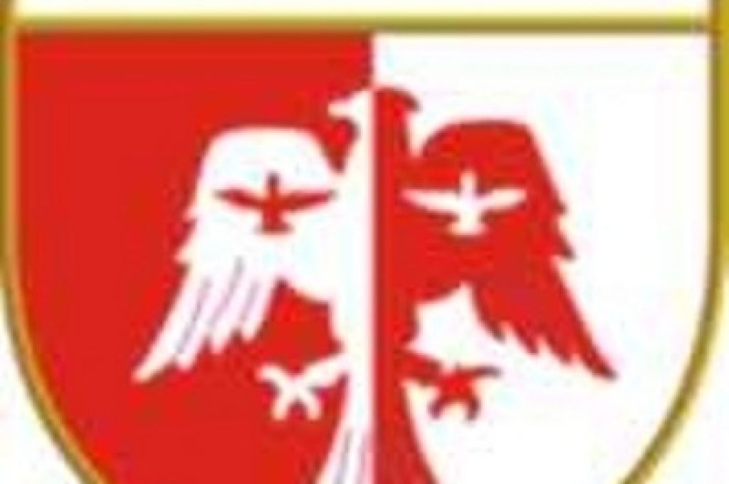 stemma-todi-calcio1