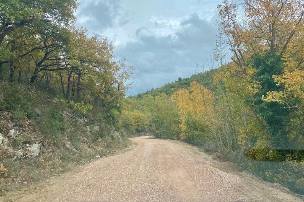 strada afor copia