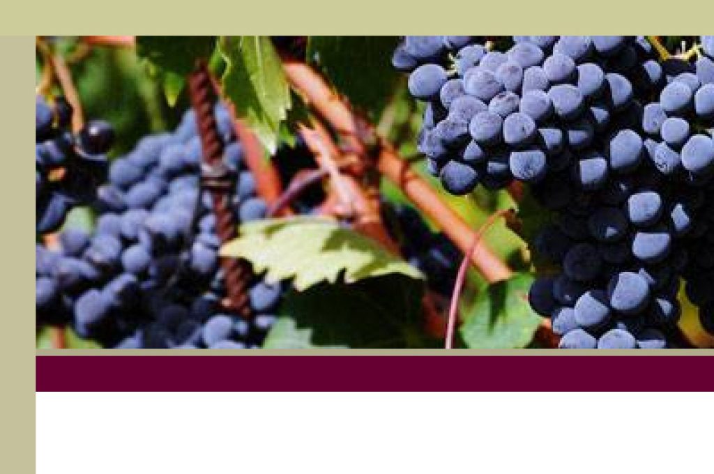 strada-vini-cantico-lunga2