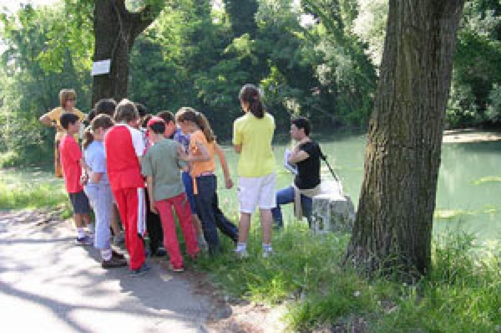 studentambiente