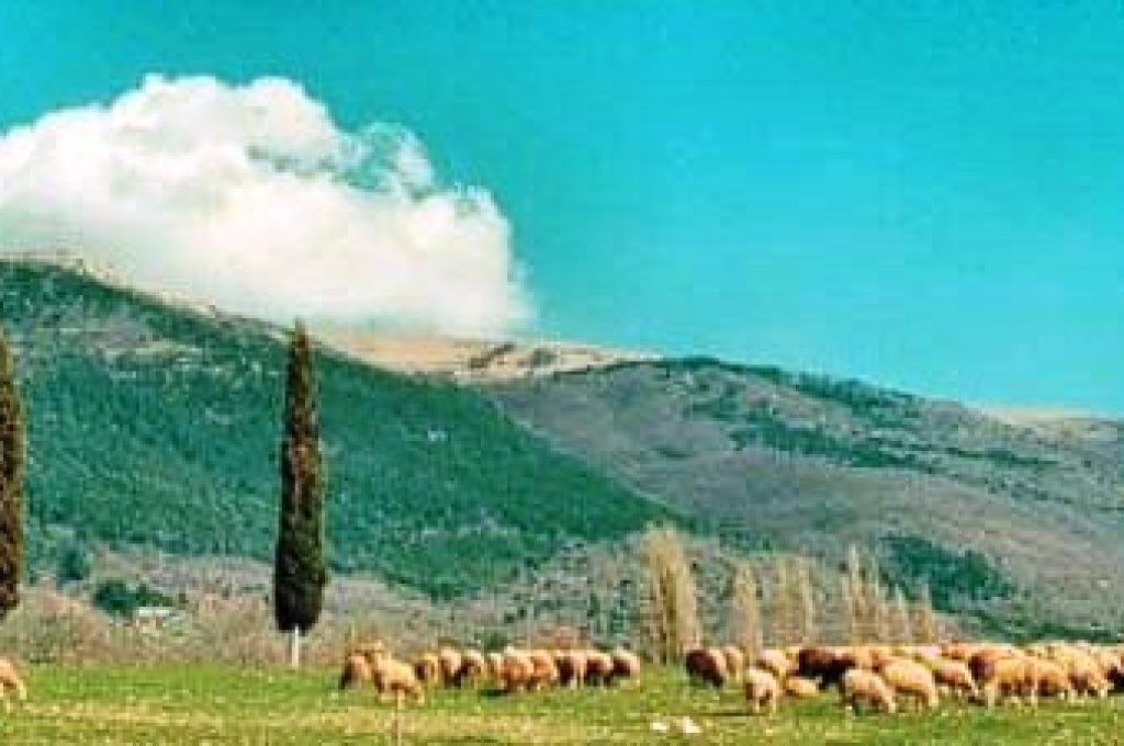 subasio-pendici1