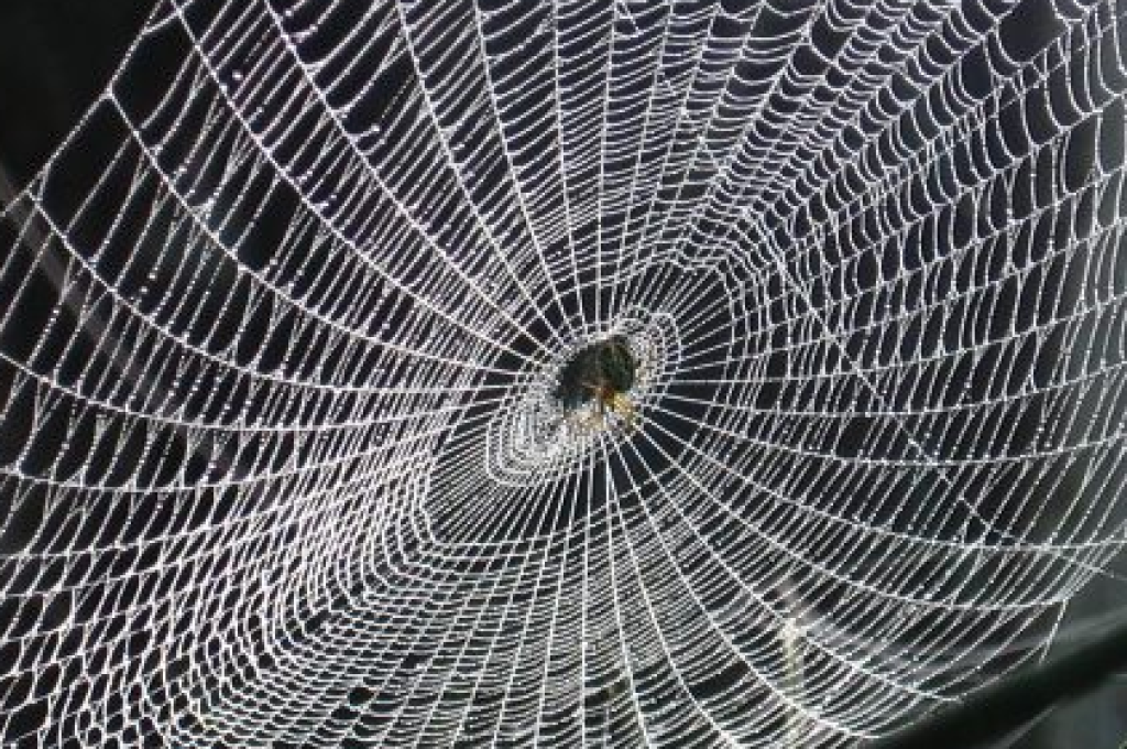 tela-ragno