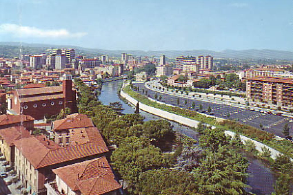 terni31