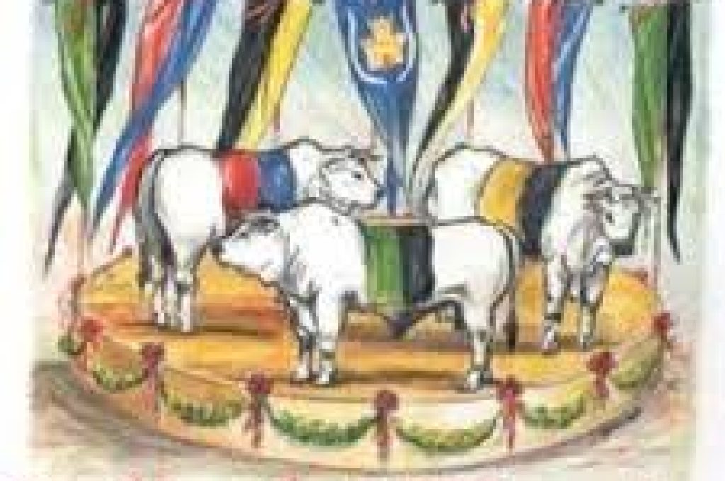 terzieri palio