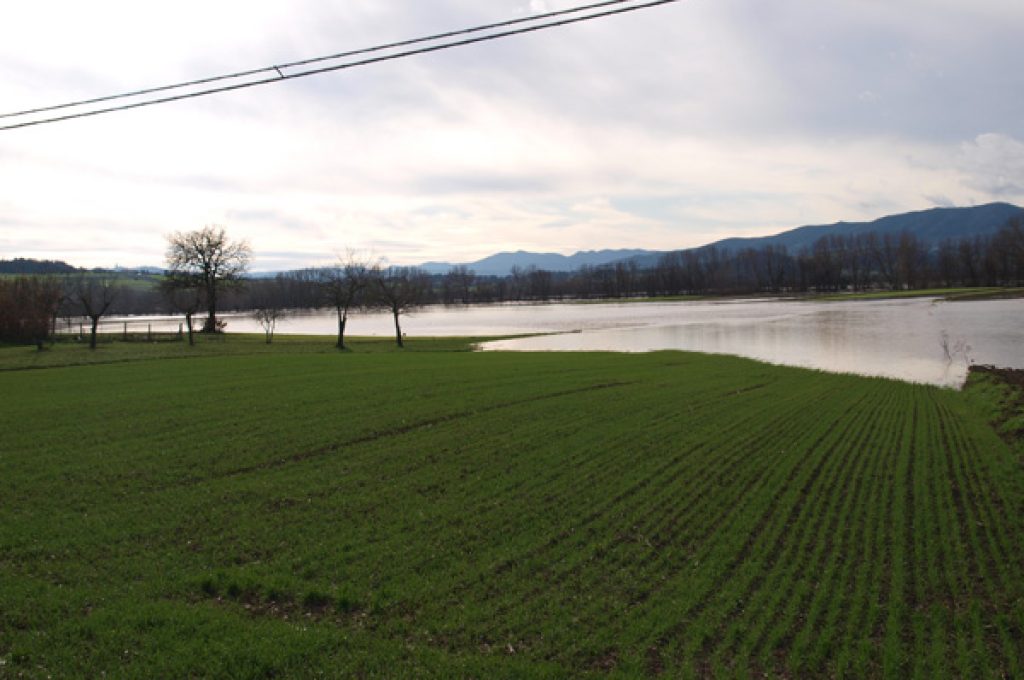 tevere-cmpi-allagati-2010