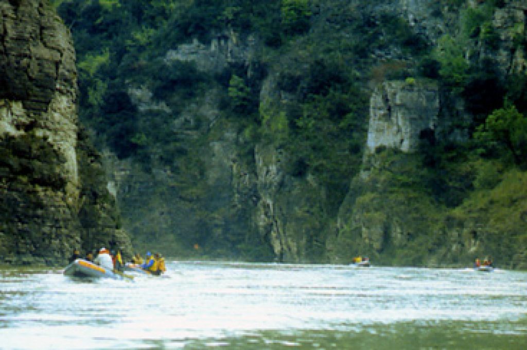 tevere-forello