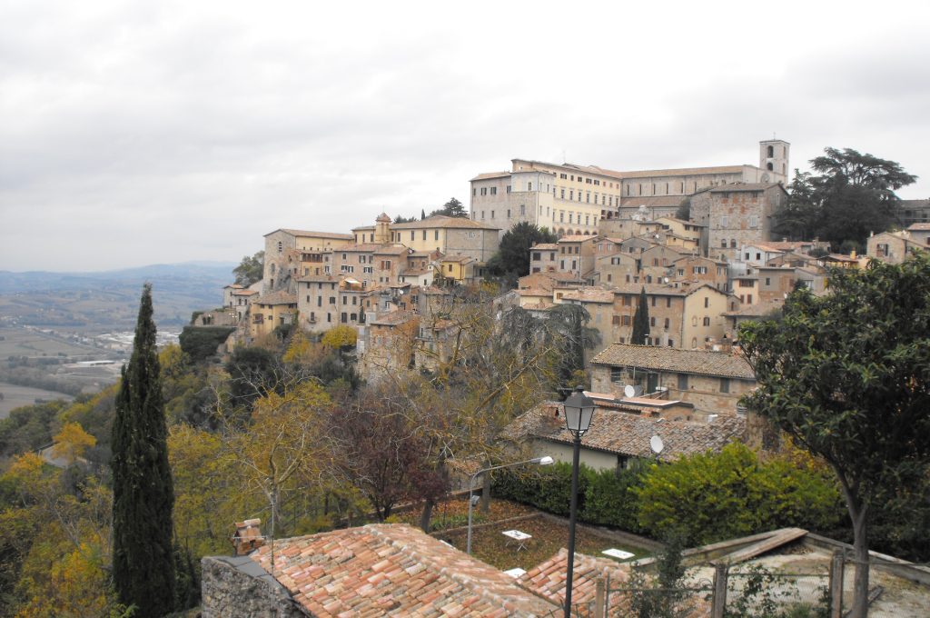 todi-1