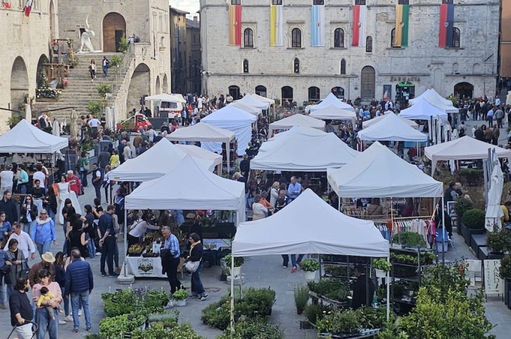 todi fiorita 2026