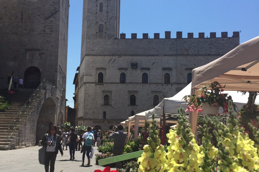 todi-fiorita