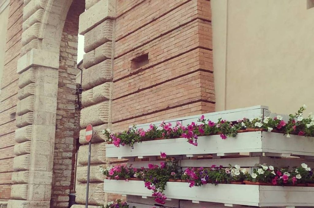 todi fiorita