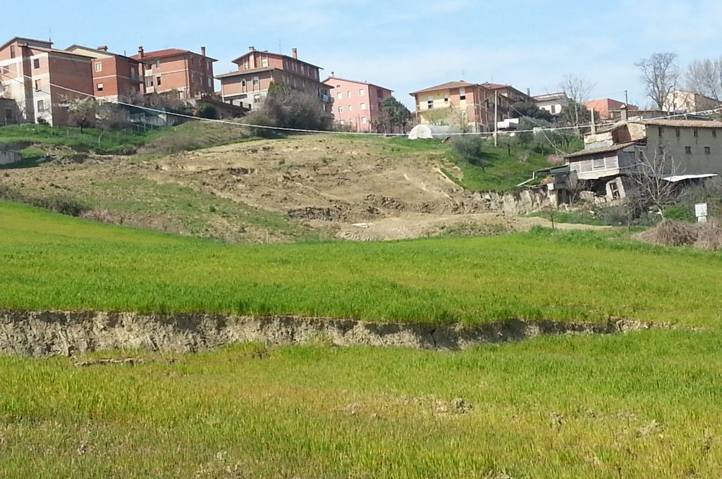 todi frana1