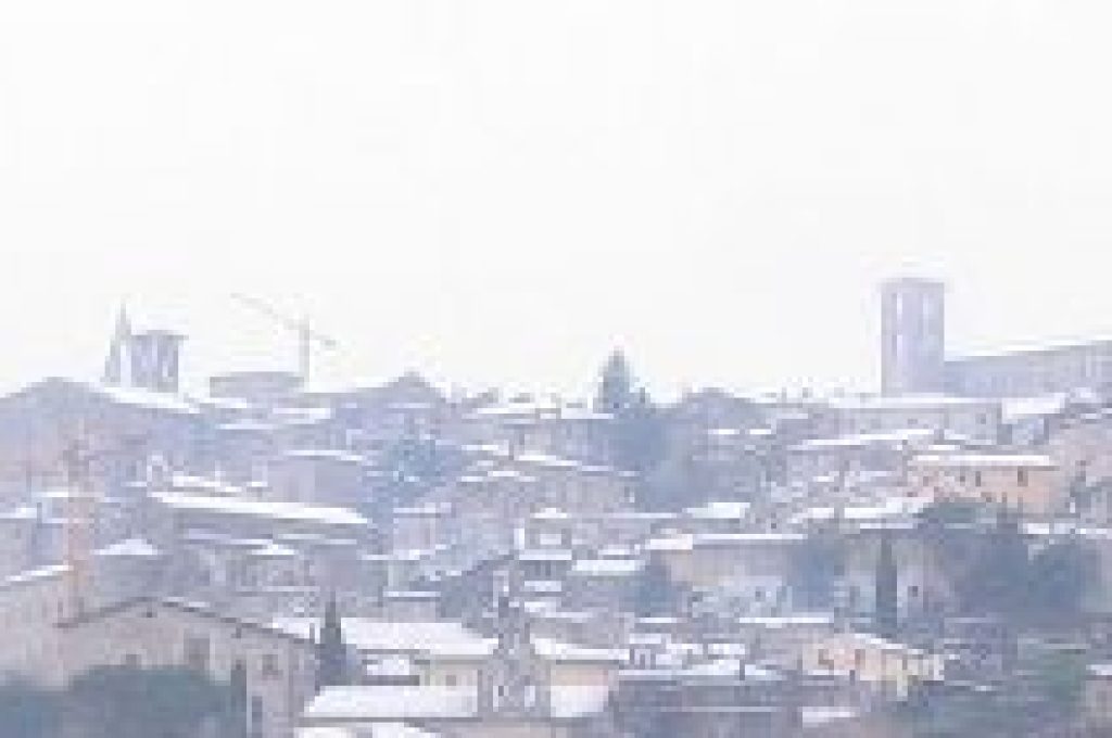 todi-neve