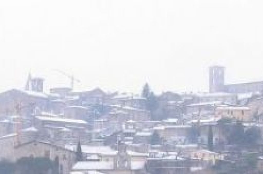 todi-neve