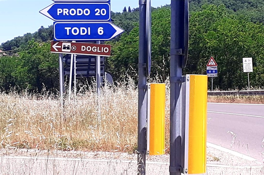 todi