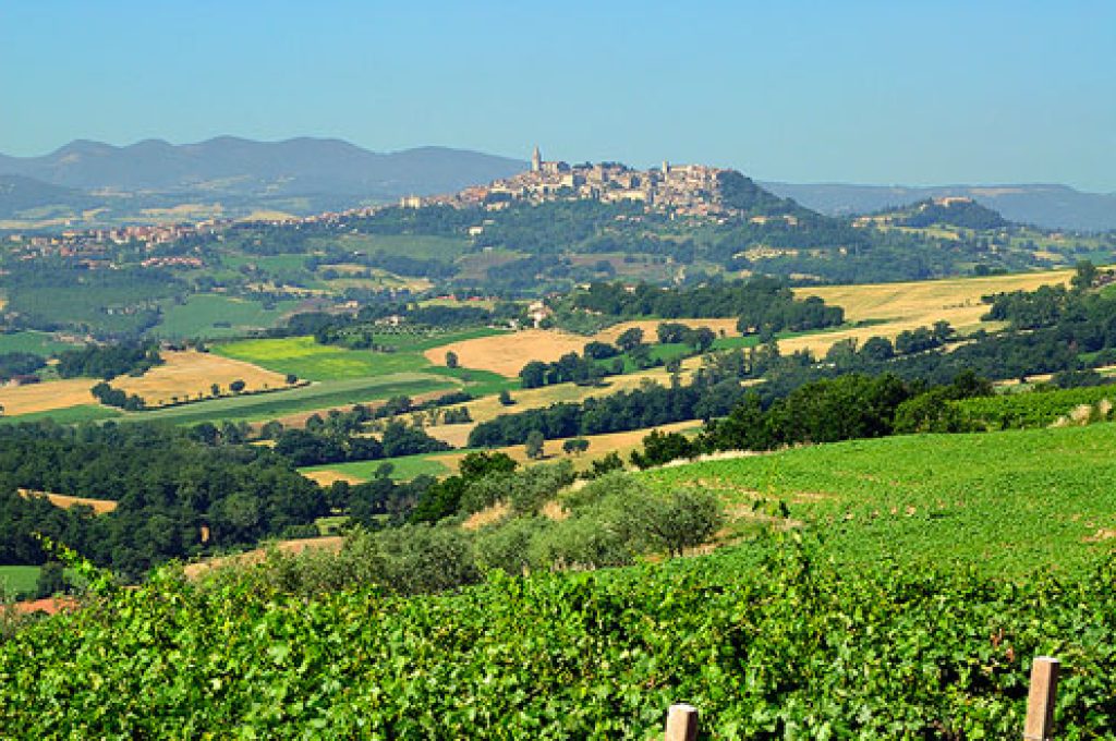todi_03