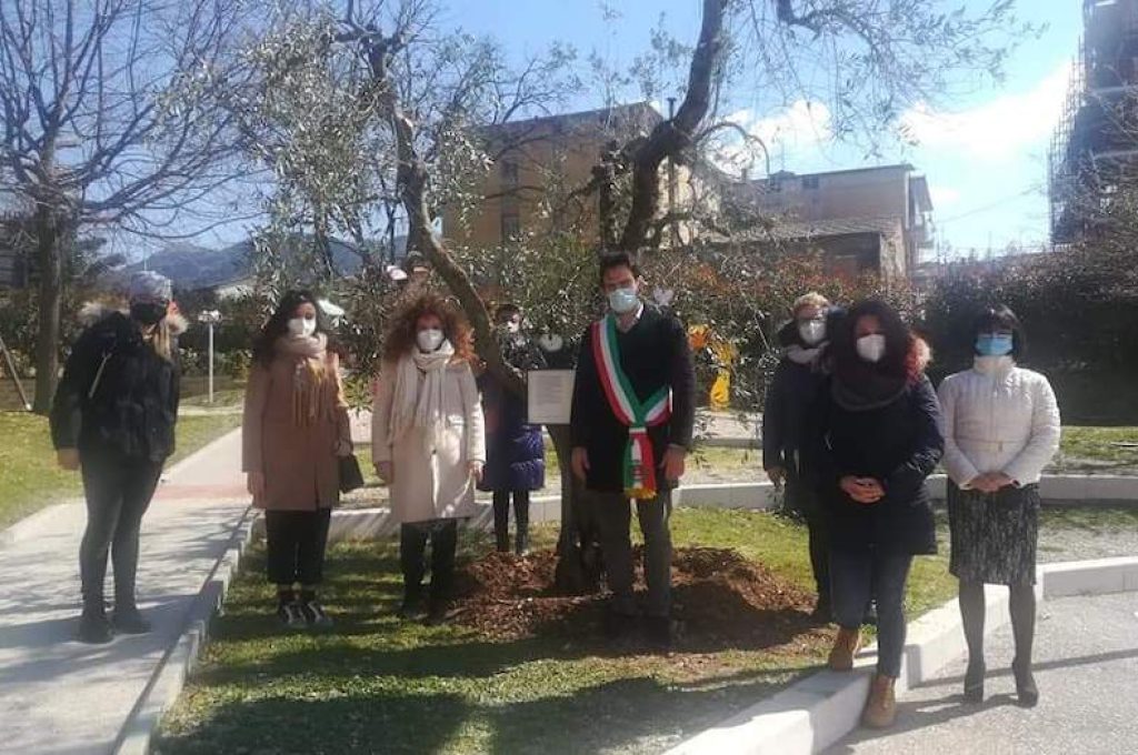 ulivo della rinascita