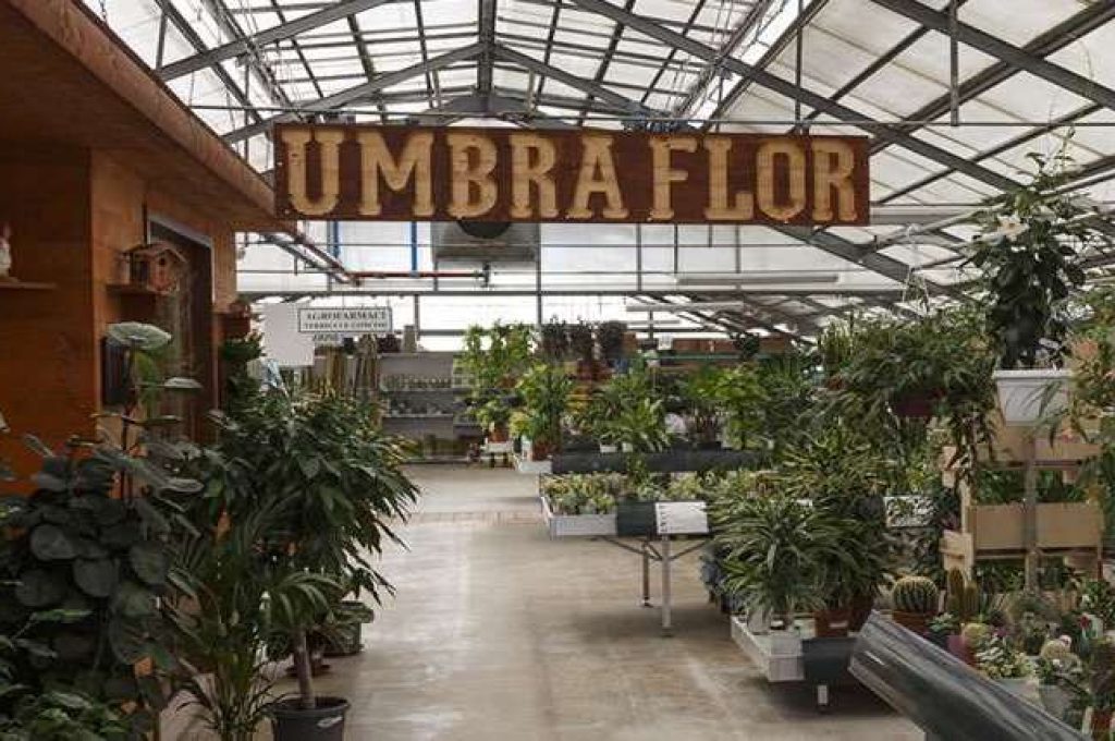 umbraflor