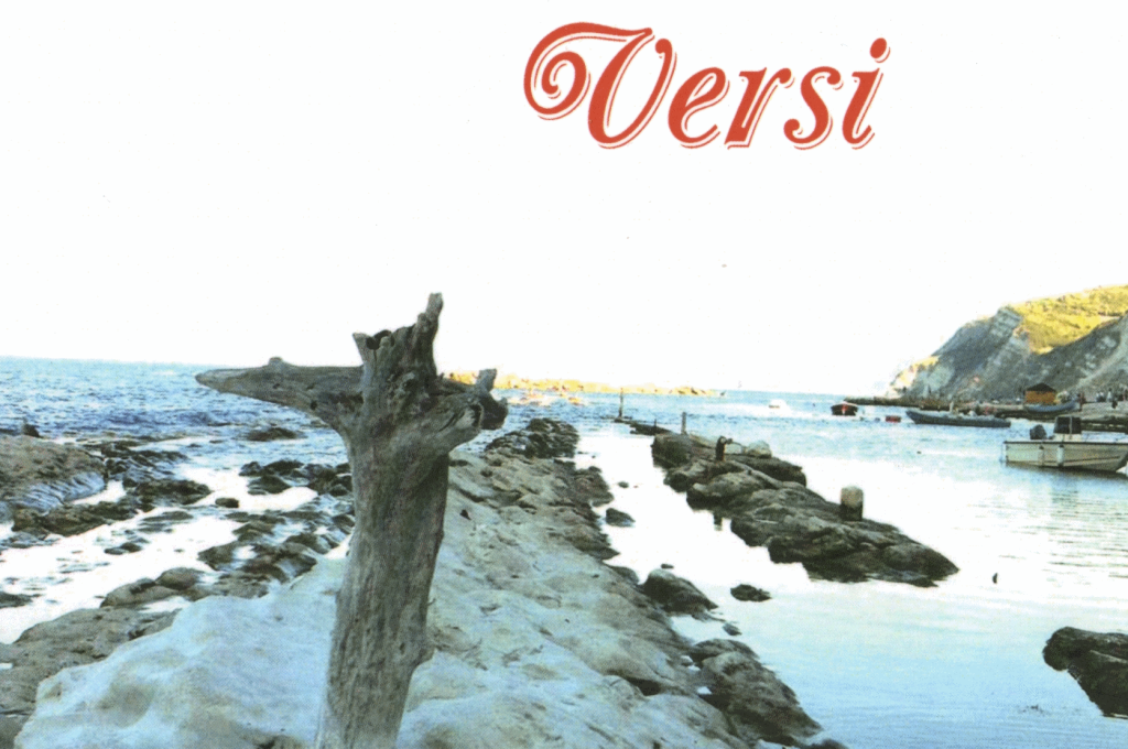 vari versi571
