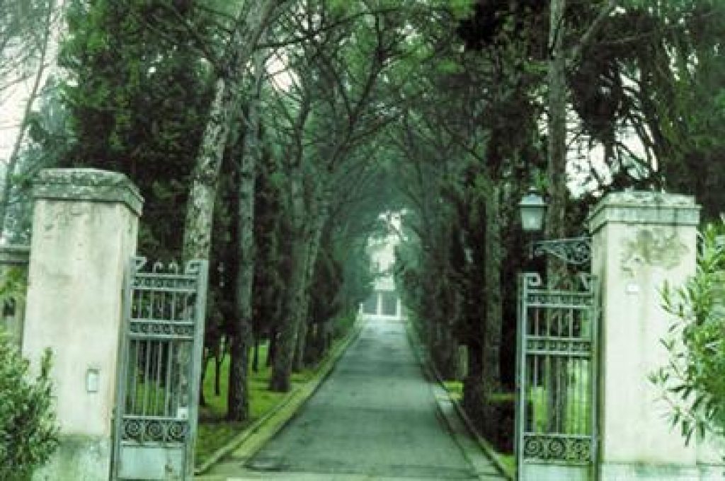 veralli-cortesi-todi