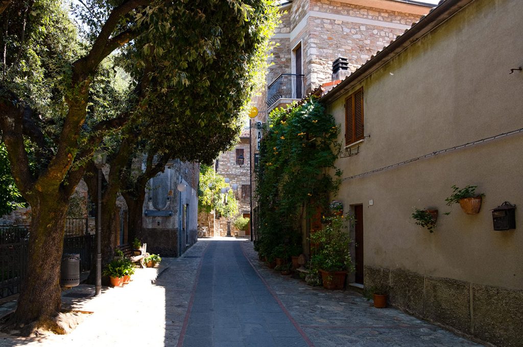 viale-rimembranza-doglio