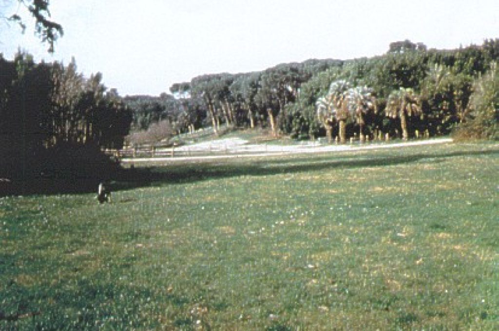 villa_ada4