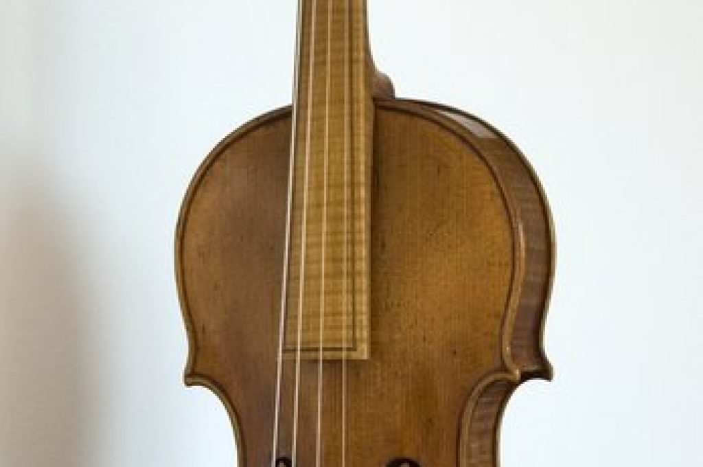 violino-protani