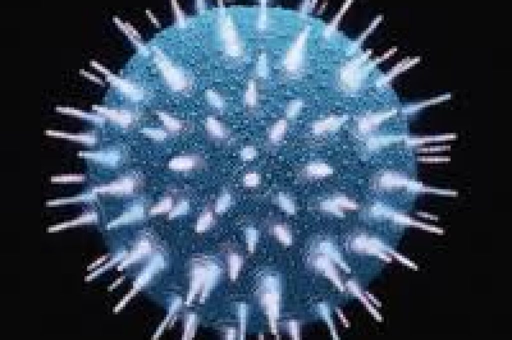 virus-hiv